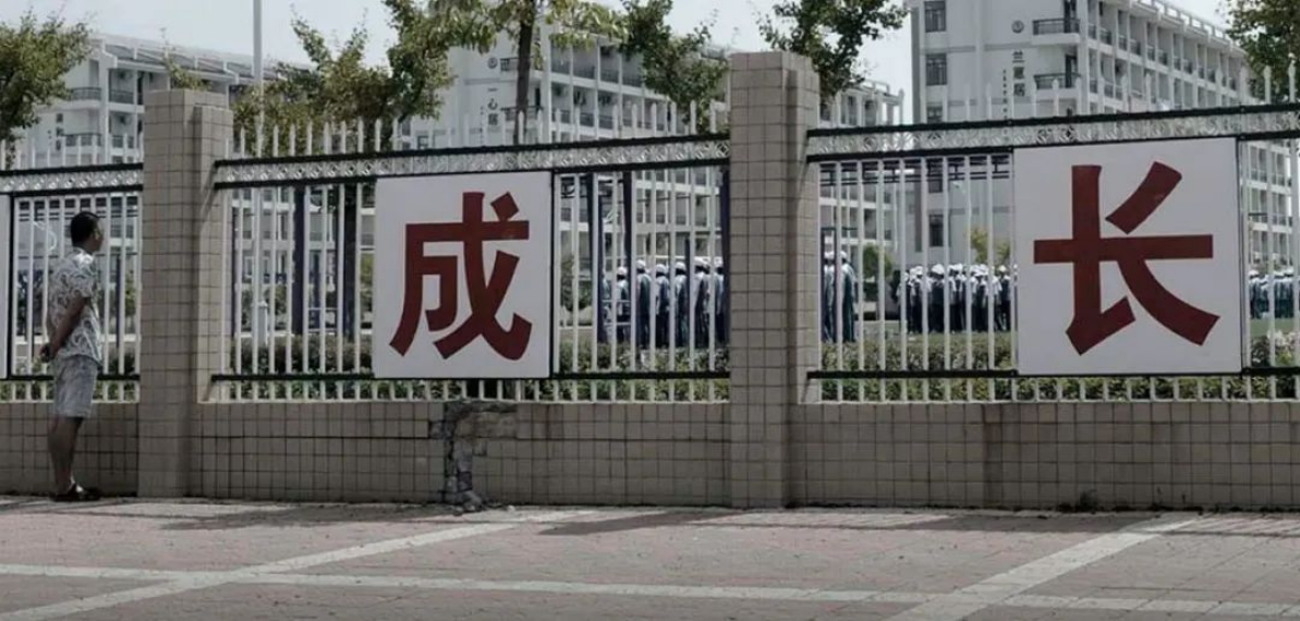 网站更新草稿491.png