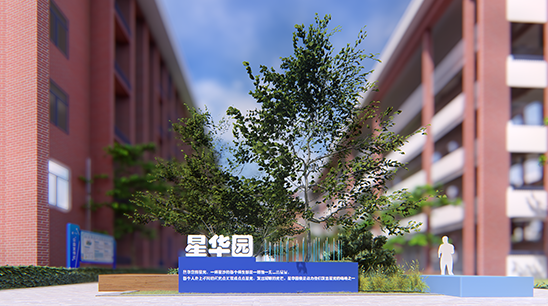 学校案例